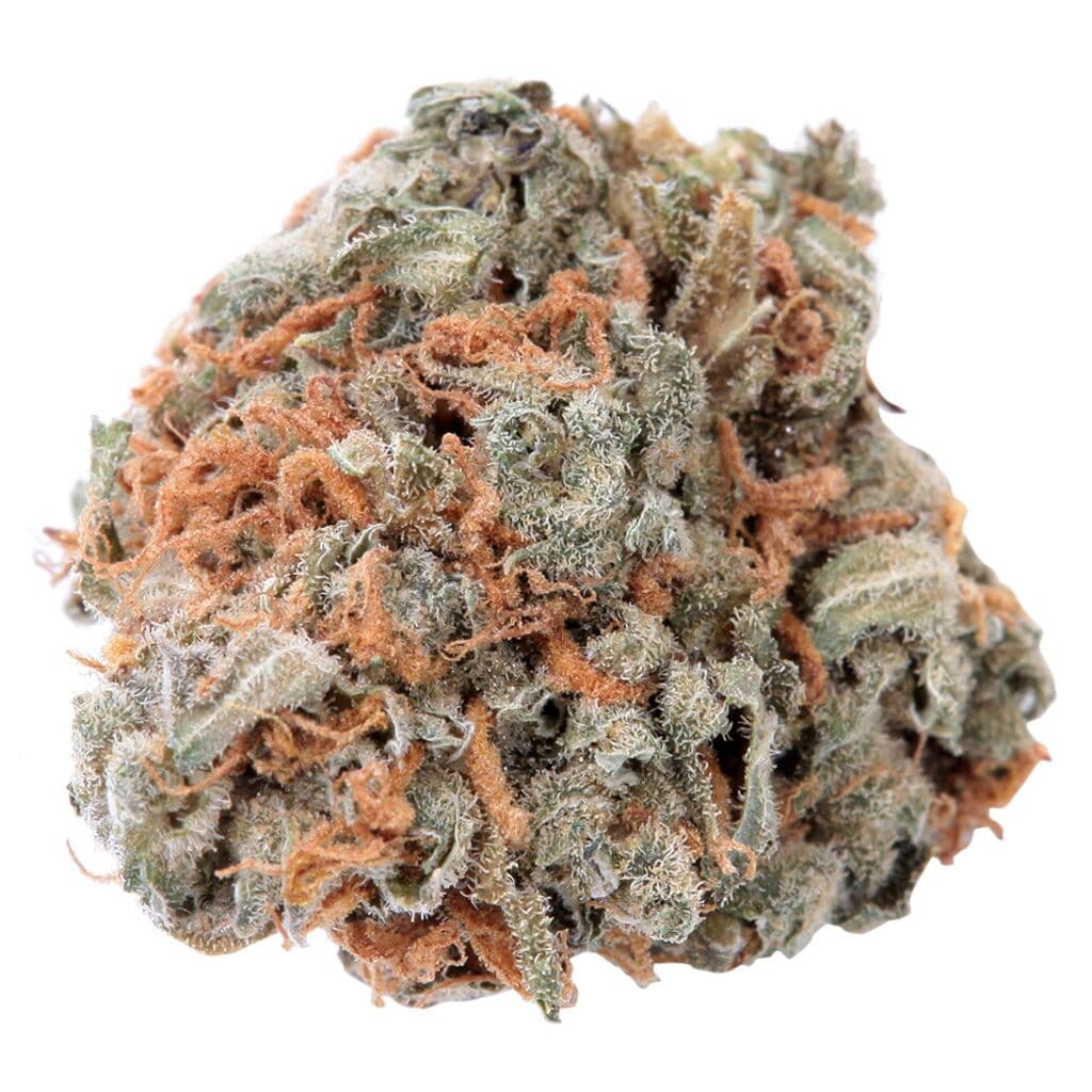 Haven St. - Indigo Daze (Sensi Star) No. 417 - 3.5g