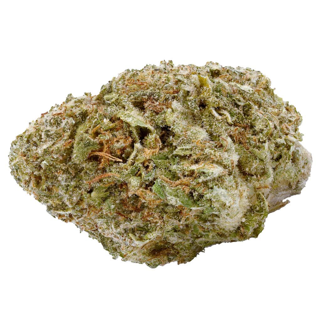 Haven St. - Indigo Daze (Sensi Star) No. 417 - 14g