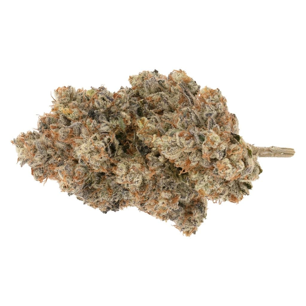 Broken Coast - Pipe Dream (Blue Dream x Acapulco Gold) - 3.5g
