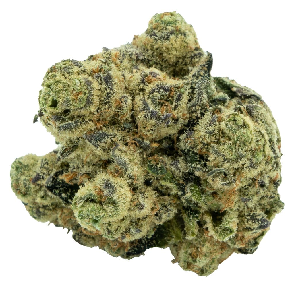 Burb - BC Zaza (Animal Face x Sherb Crasher) - 3.5g