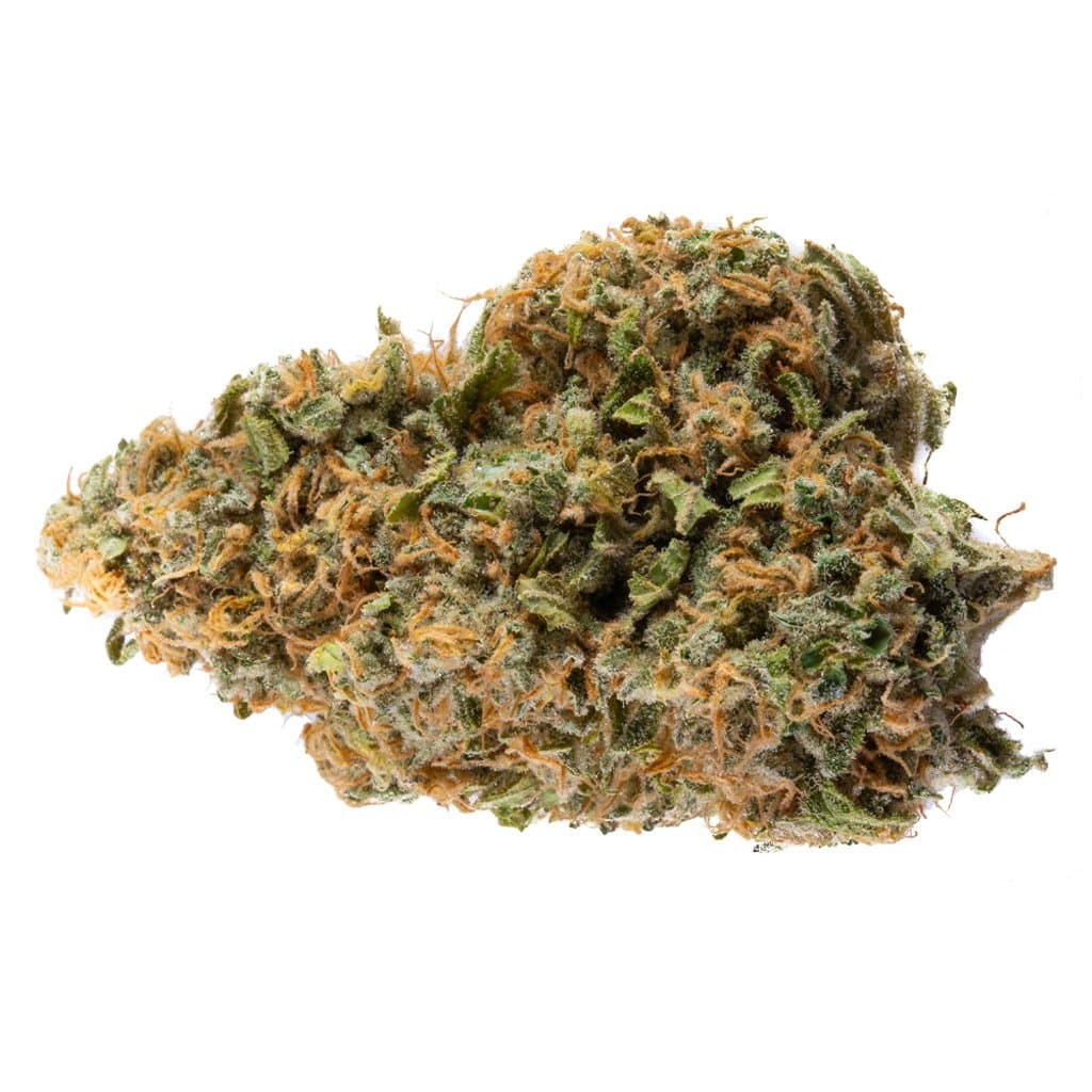 Skosha - Dartmouth Kush (Blueberry x [Gorilla Glue x OG Kush]) - 3.5g