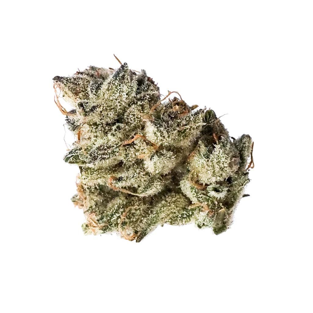 OGEN - Early Glue RBx1 #15 (GG4 x Blackfire F-1) - 3.5g