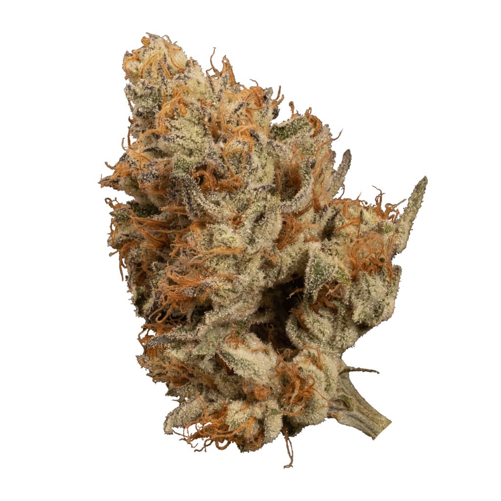 OGEN - Bacio Punch #8 (Gelato 41 x Purple Punch) - 3.5g