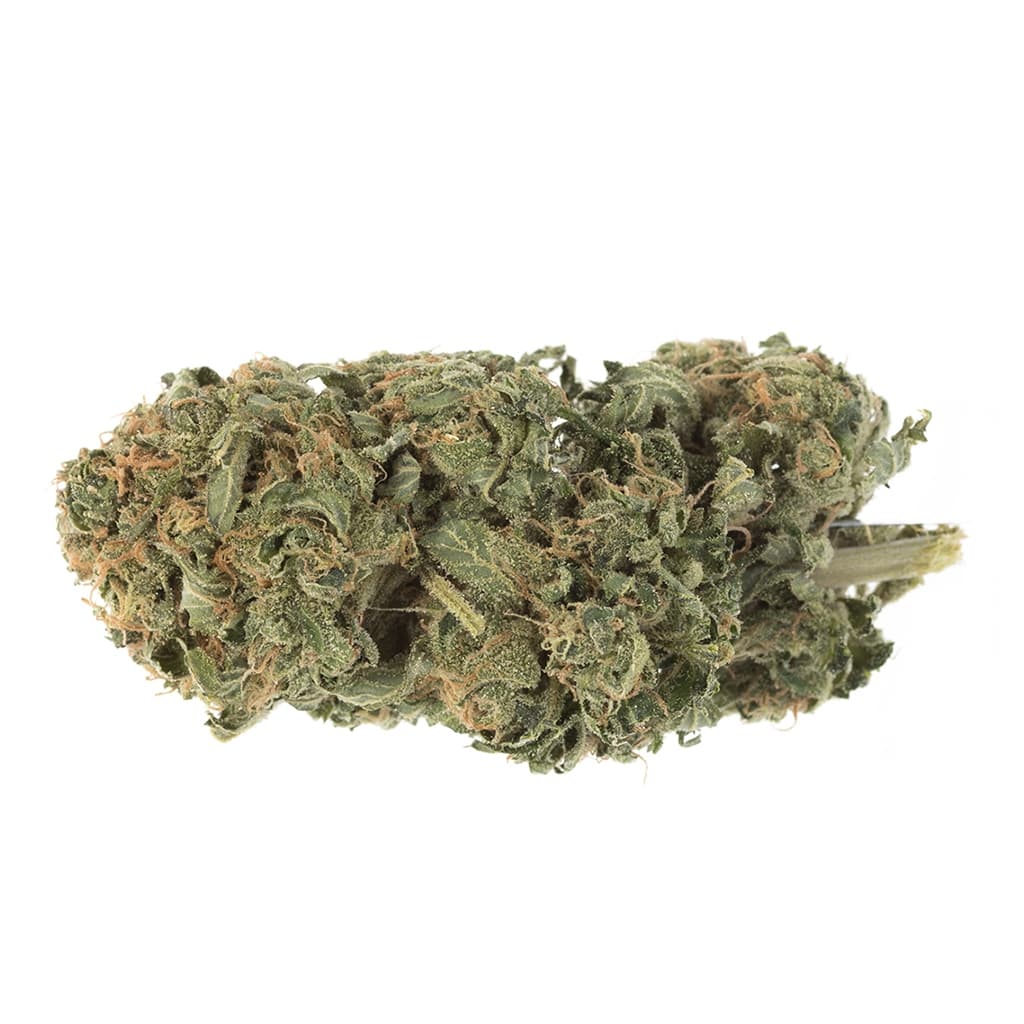 Station House - OG Kush (Hindu Kush x Chemdawg) Flower - 14g