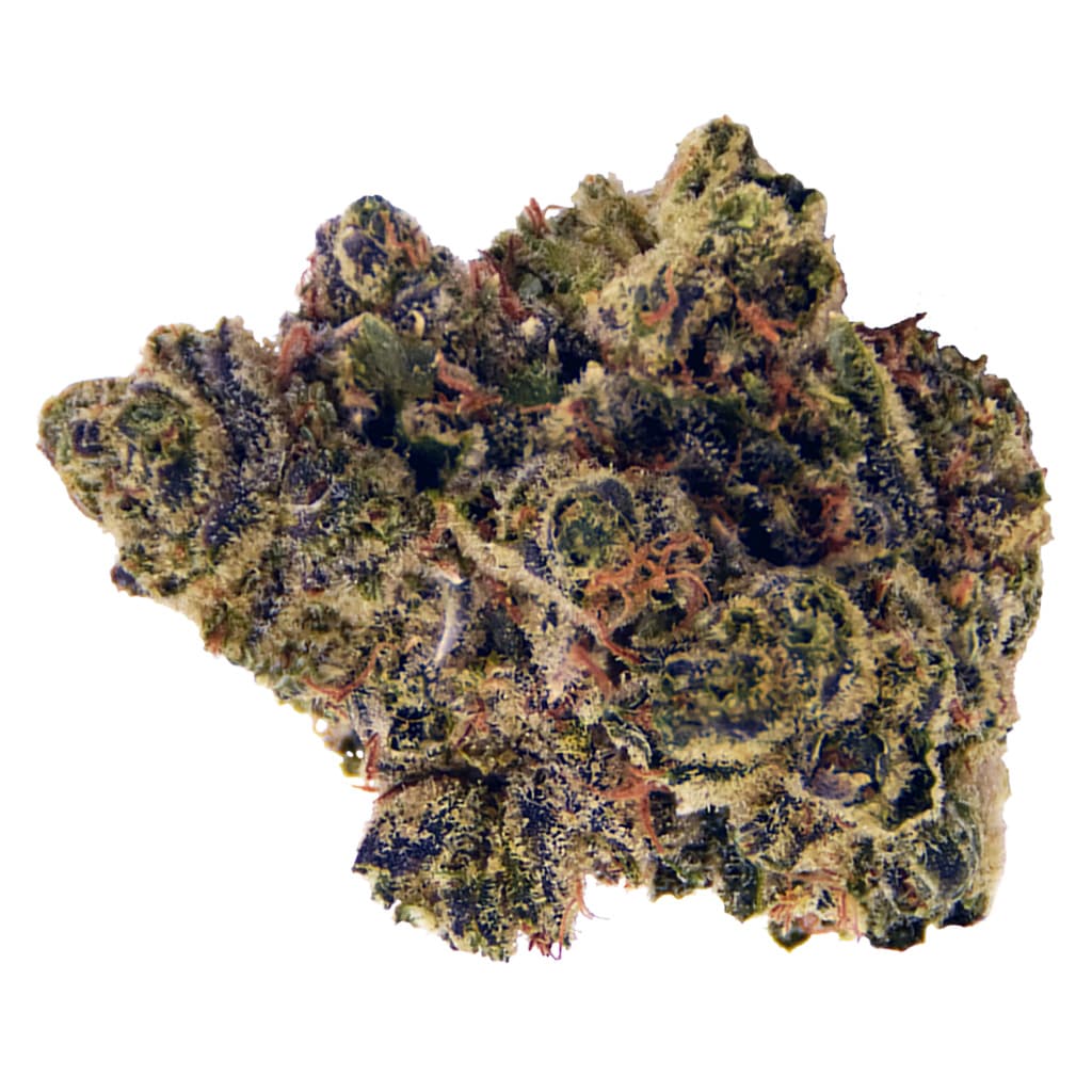 Flint & Embers - Zookies (Animal Kookies x Gorilla Glue) - 3.5g