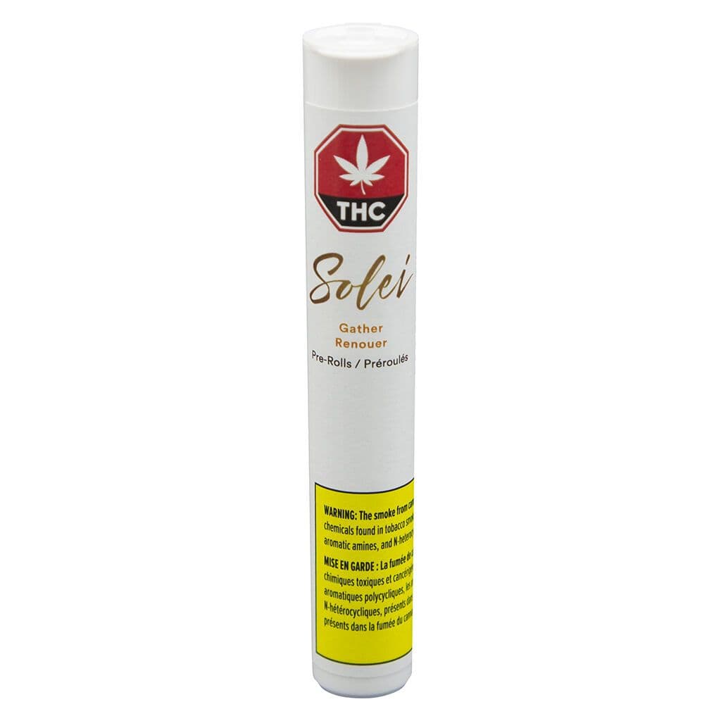 Solei - Gather (Jack Herer) Pre Roll - 1x0.5g