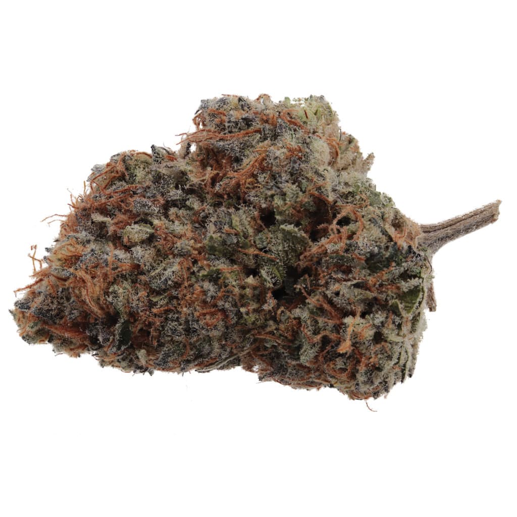 Wink - Craft Granola Funk (GSC x Wookie 15) - 3.5g
