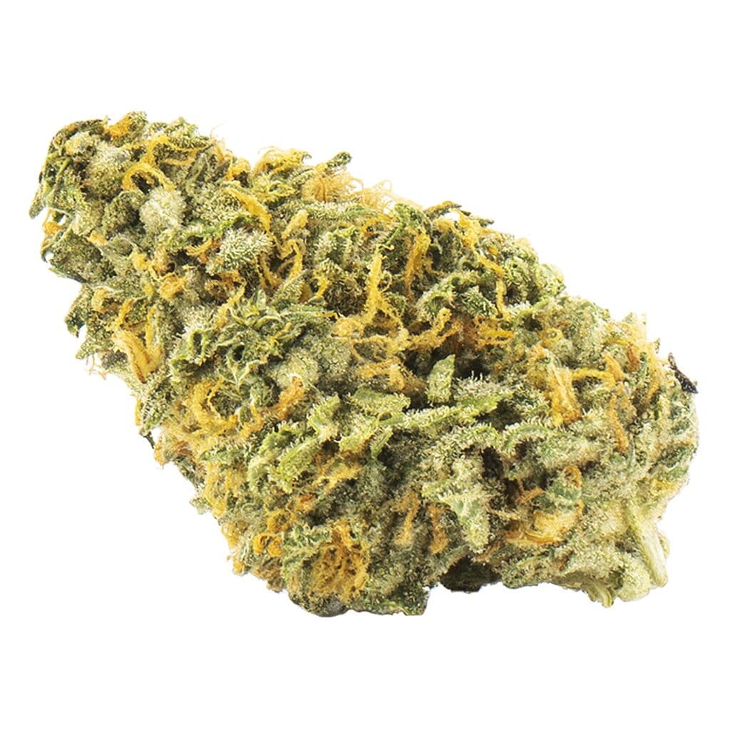 Palmetto - Nuken (Kish x God Bud) - 3.5g