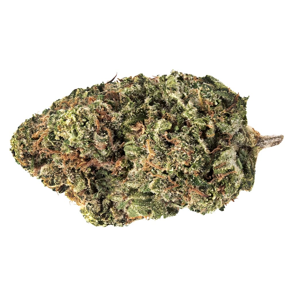 7ACRES - Jack Haze (White Widow x Haze) - 7g