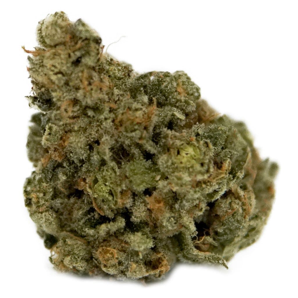 Panorama - Master Kush (Hindu Kush x Skunk) - 3.5g