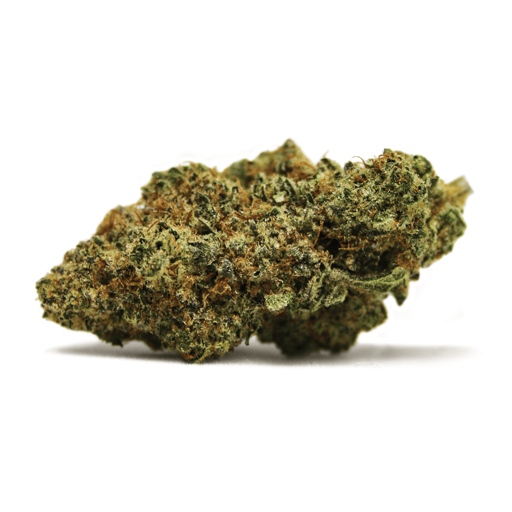 Spinach - Dancehall (Juanita La Lagrimosa x Kalijah) - 3.5g