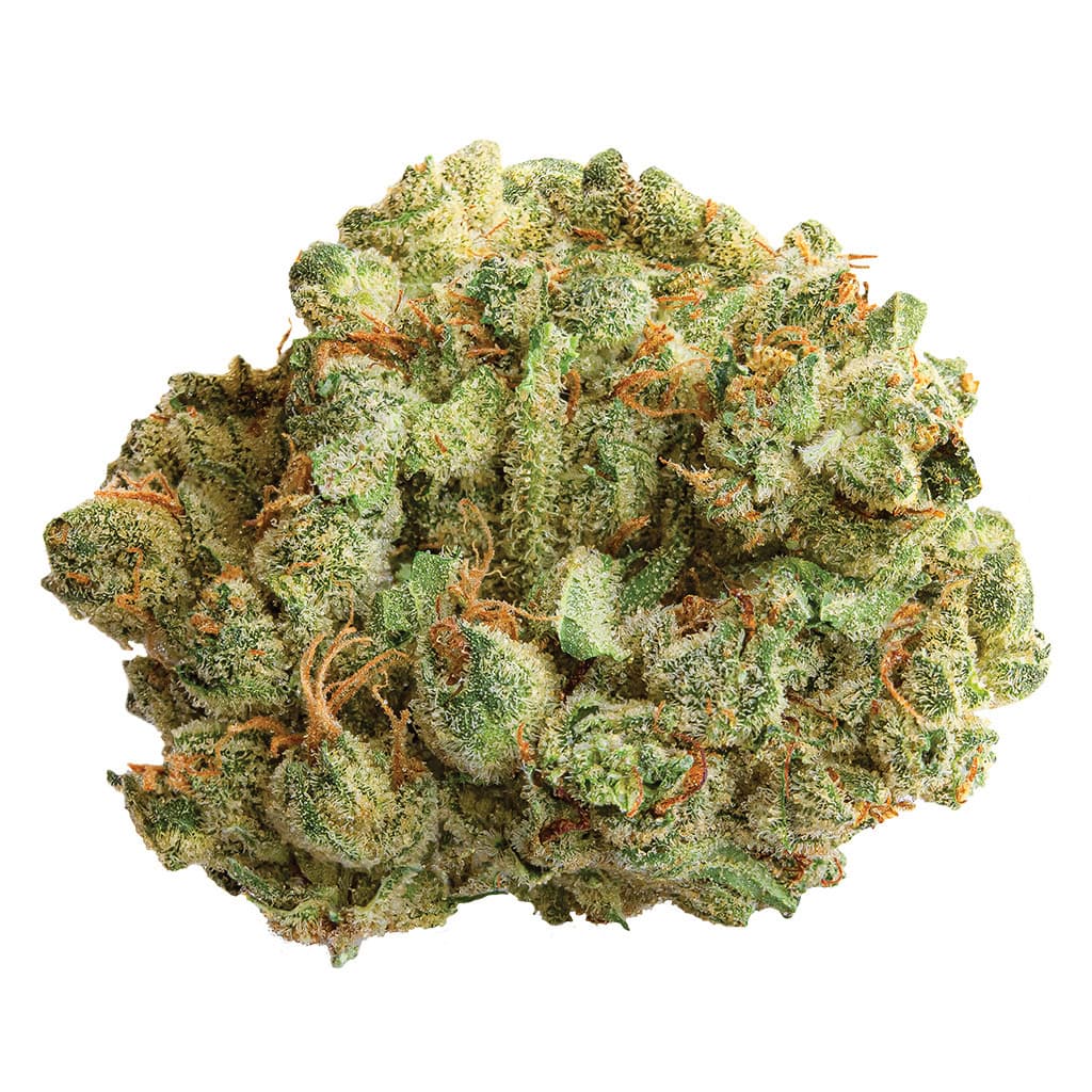 Spinach - Cocoa Bomba (Do-si-Dos x Lava Cake) - 3.5g