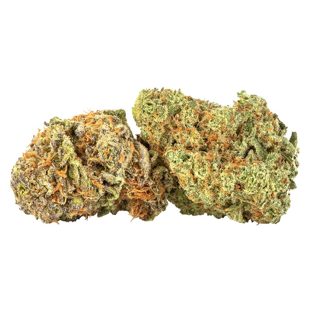 Ness - Lemon Berry (Lemon Thai x Dabney Blue)- 3.5g