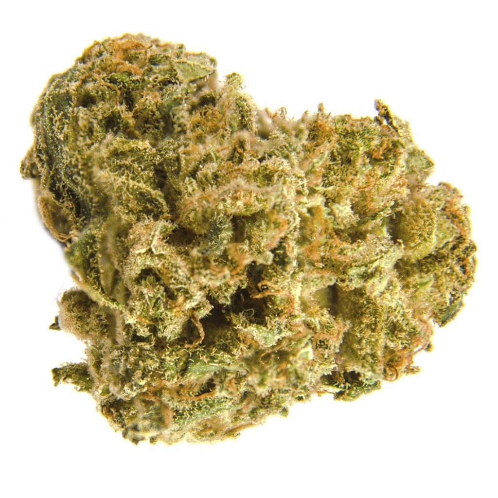 Divvy - Black Widow CBD (South American x South Indian) - 3.5g