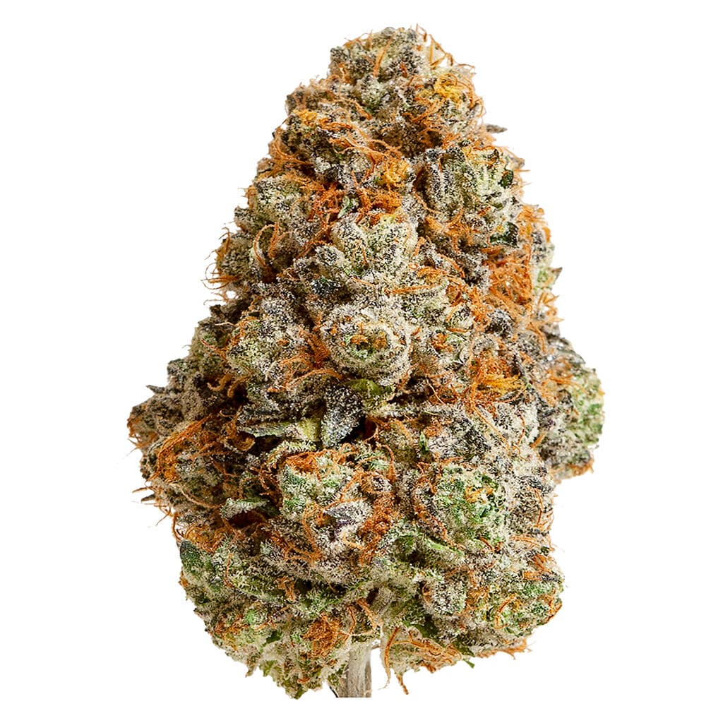 Primeau Craft Cannabis - Lava Cake (Thin Mint Cookies x Grape Pie) - 3.5g