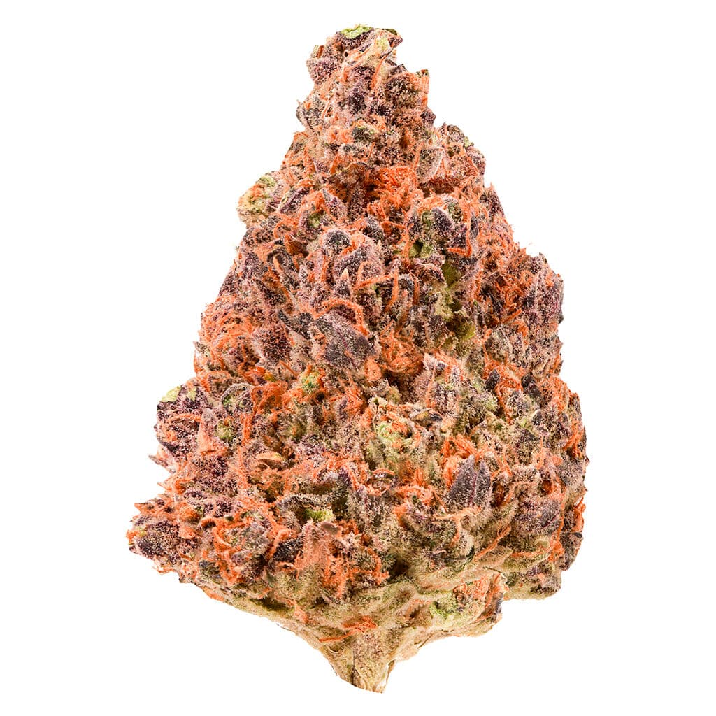 Cheers - Cherry Blast (Black Cherry Punch x Orange Cookies) - 3.5g
