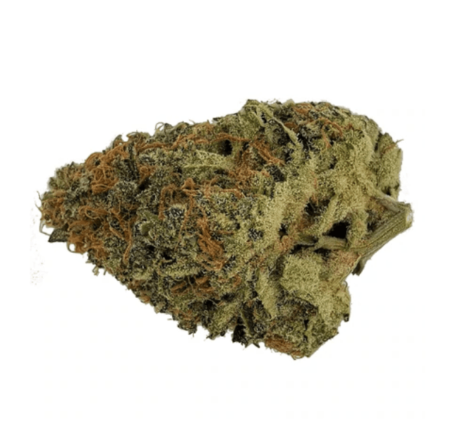 Sitka - Animal Sorbet - 3.5g