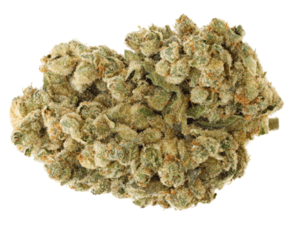 San Rafael -71 - Sourdough (Sour Diesel x Cake) - 3.5g