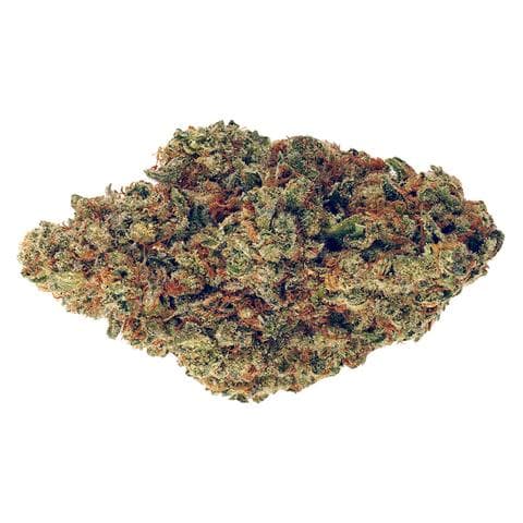 Wagners - Blue Lime Pie (Key Lime Pie x Blue Power) - 3.5g