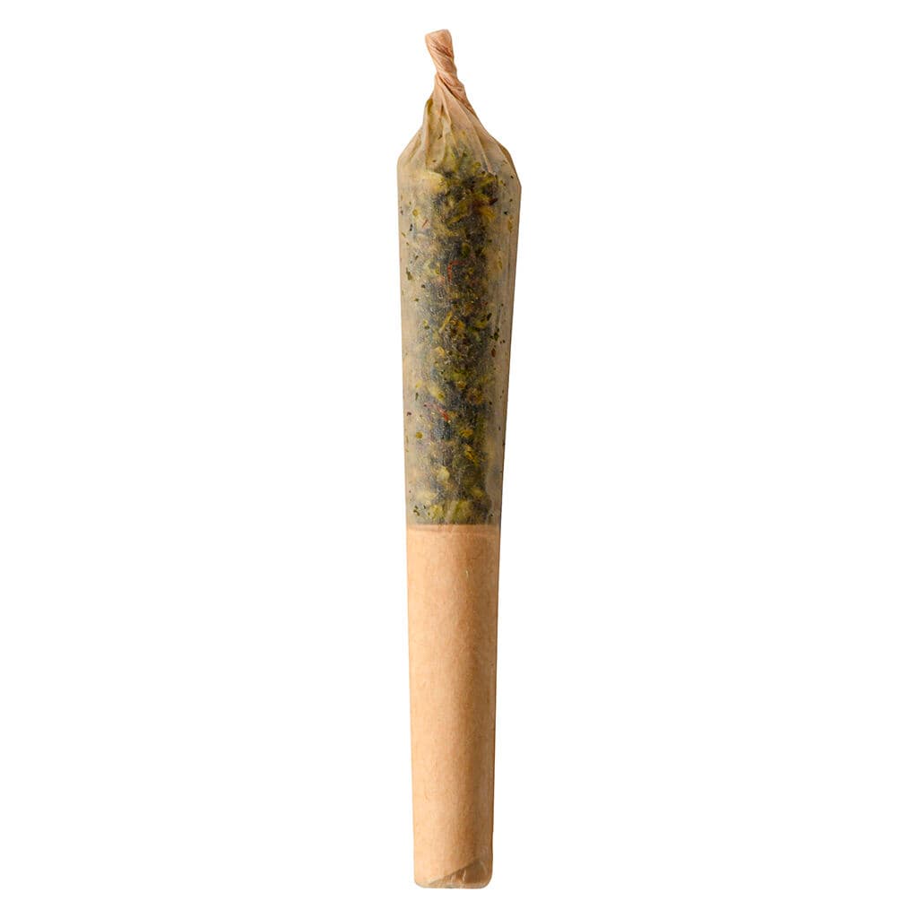 Ness - Pumpkin Spice Infused Pre-Roll - 1x0.5g