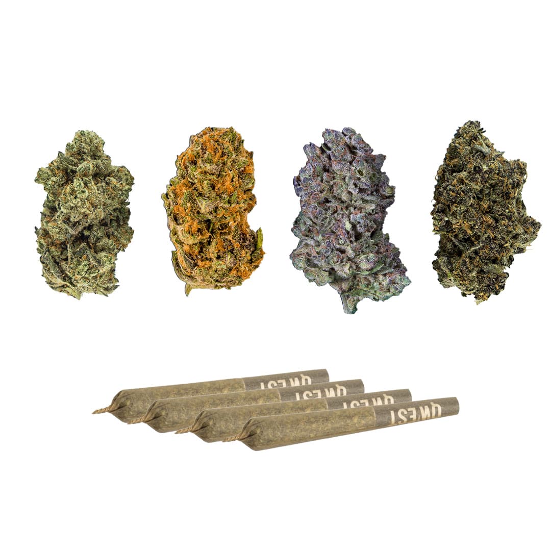 Qwest - Collective Variety Pack (TKO/Terpee Slurpee/Sour Strawberry x Trophy Wife/Grape Cream Cake) Flower & Pre Rolls Pack - 8g