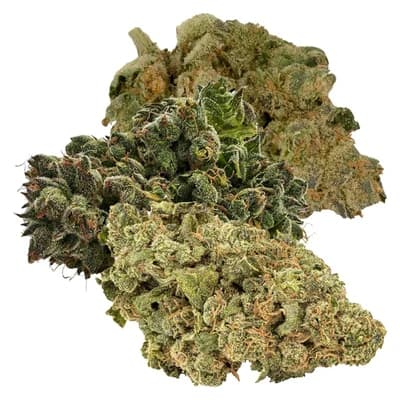 Salad Bar - Caesar Salad - 28g