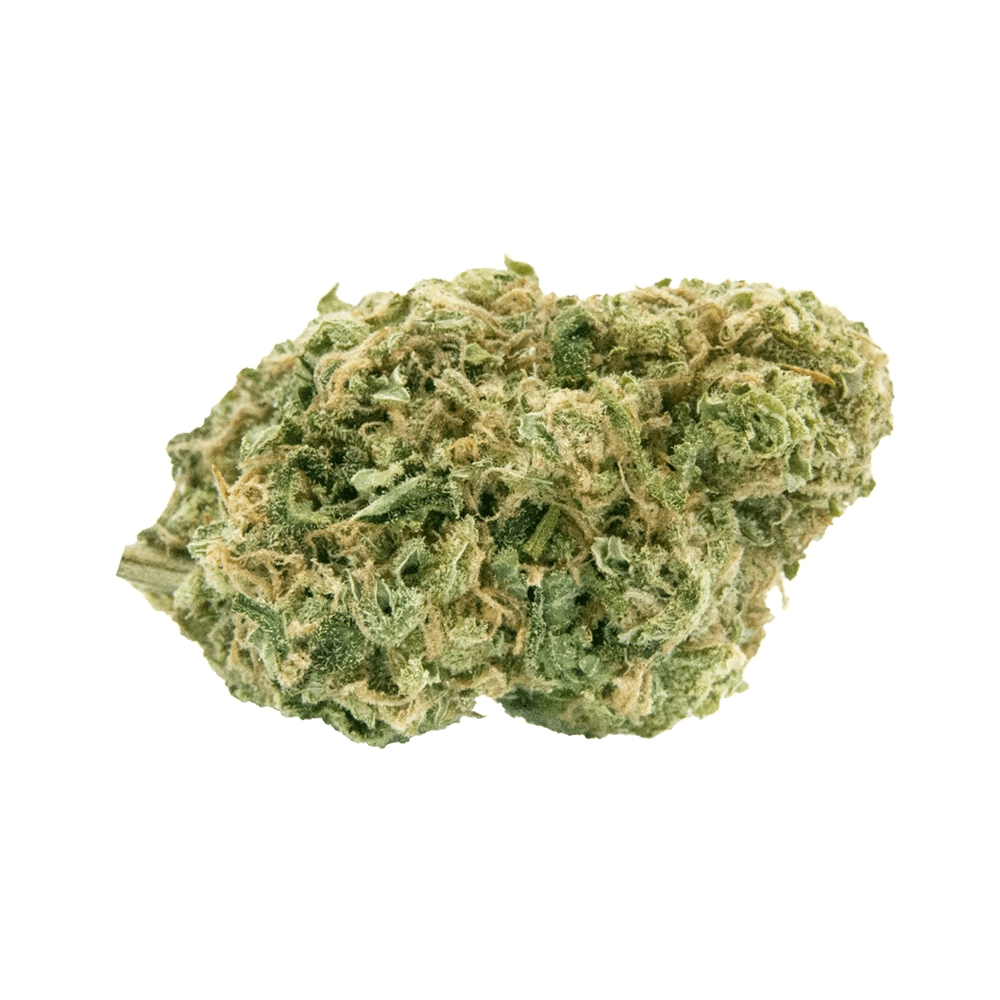 Haven St. - Noisy Neighbour (Ultra Sour) No. 515 - 3.5g