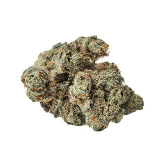 BOLD - Garlic Toast (GMO x TK Skunk x Wedding Cake) - 3.5g