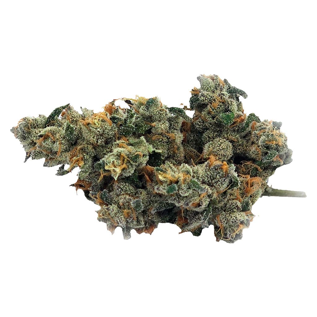 Truro - Bluenose Berry (Grape Ape x Jet Fuel Gelato) - 7g