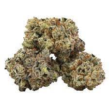 BZAM x DUNN - Grateful Breath (Joseph OG x OG Kush Breath) - 3.5g