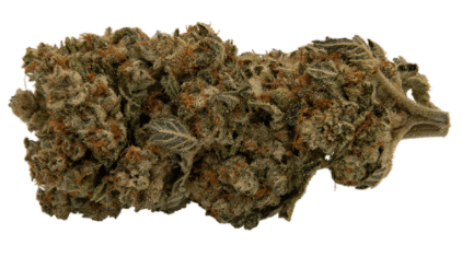 Flint & Embers - DOSI-D (Chem-D x Dosidos) - 3.5g