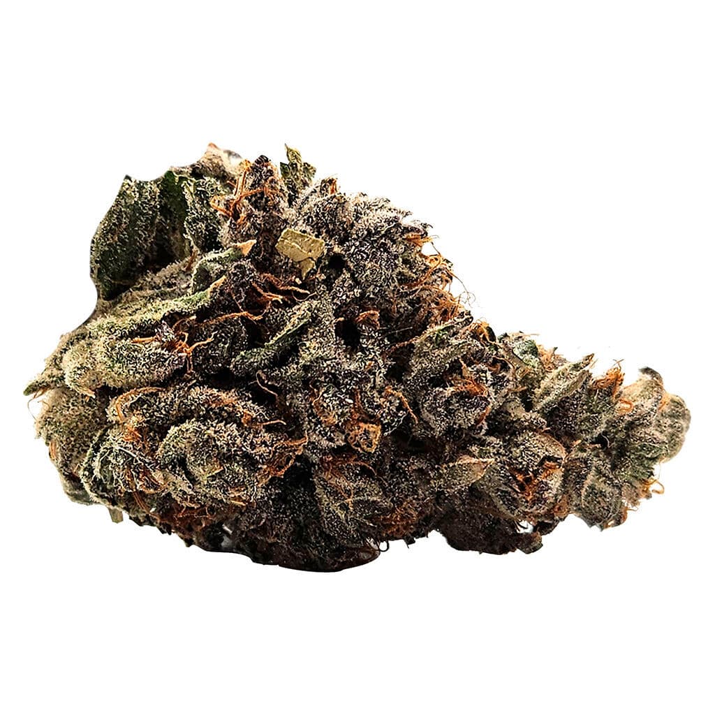 MTL - 91 Ox (Biscotti x Scotty2Hotty) - 14g