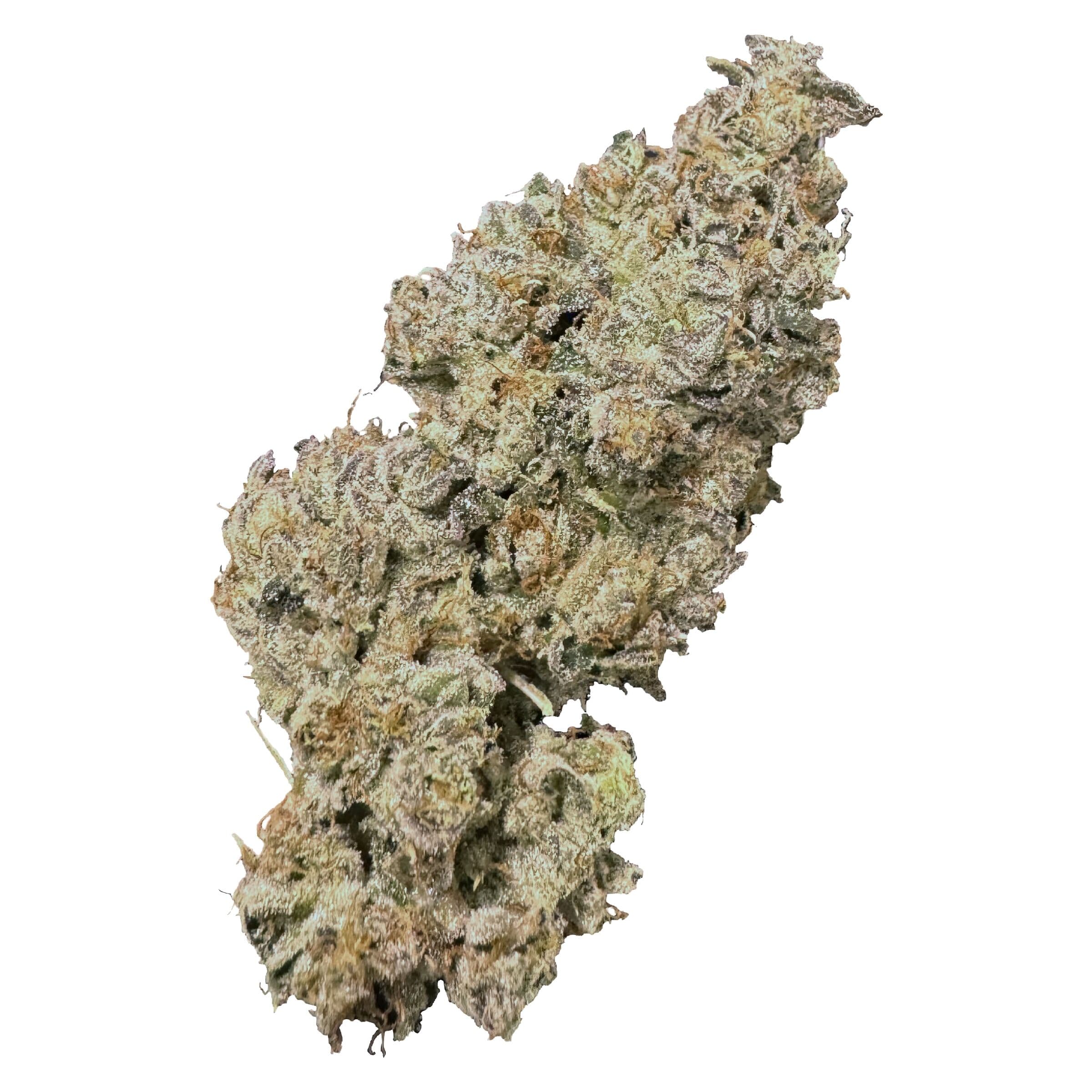 HighXotic - Royal Dive#1: Black Mountain Side (Durban P x OG Kush) - 14g