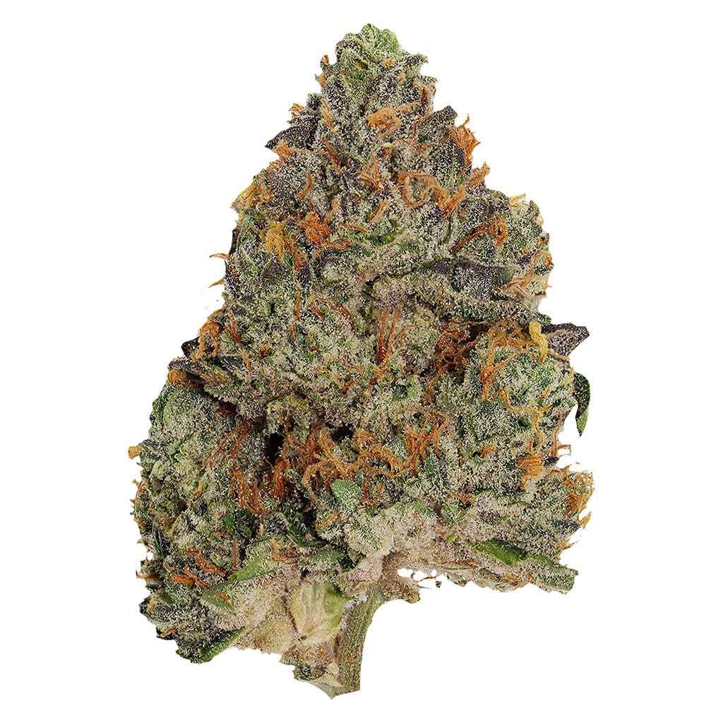 Pistol and Paris - Blue Zushi - 3.5g