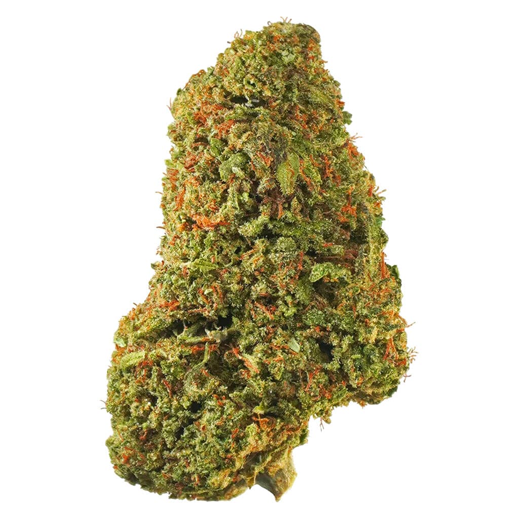 1964 - Tropicanna (Sour Tangie x GSC) - 7g