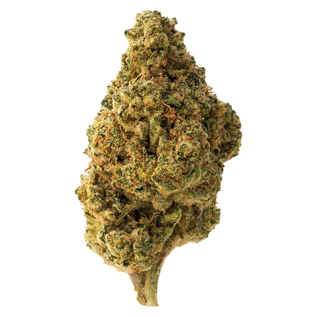 The Loud Plug - Tropicana Cookies (GSC x Tangie 21) - 28g
