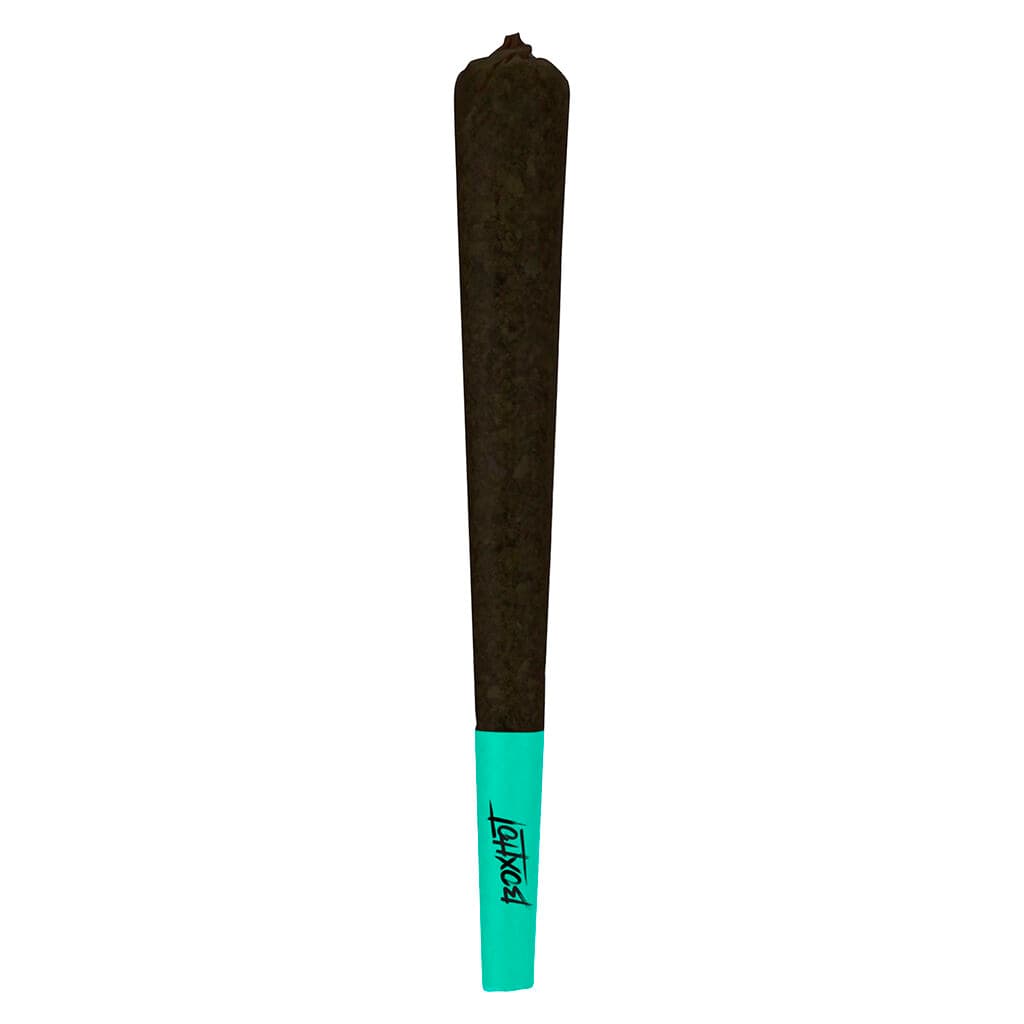 BoxHot - Two Four Pre-Rolls - 24x0.5g
