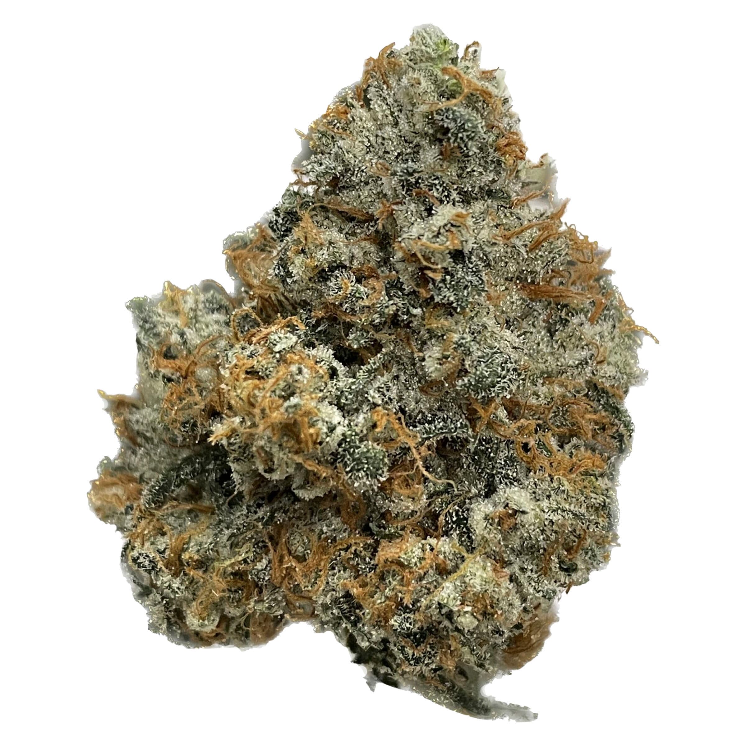 The Drip - Banana Cream & Jealy (Animal Sherb x Banana og x Jealousy) - 3.5g