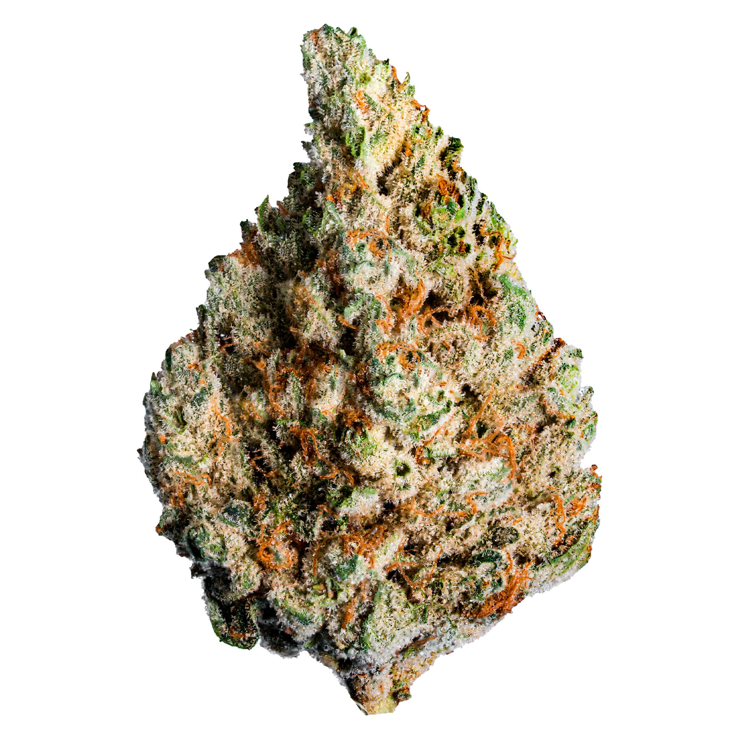 Lotus - Keylime Kush (Key Lime Mints x Kush Mints #11) - 3.5g