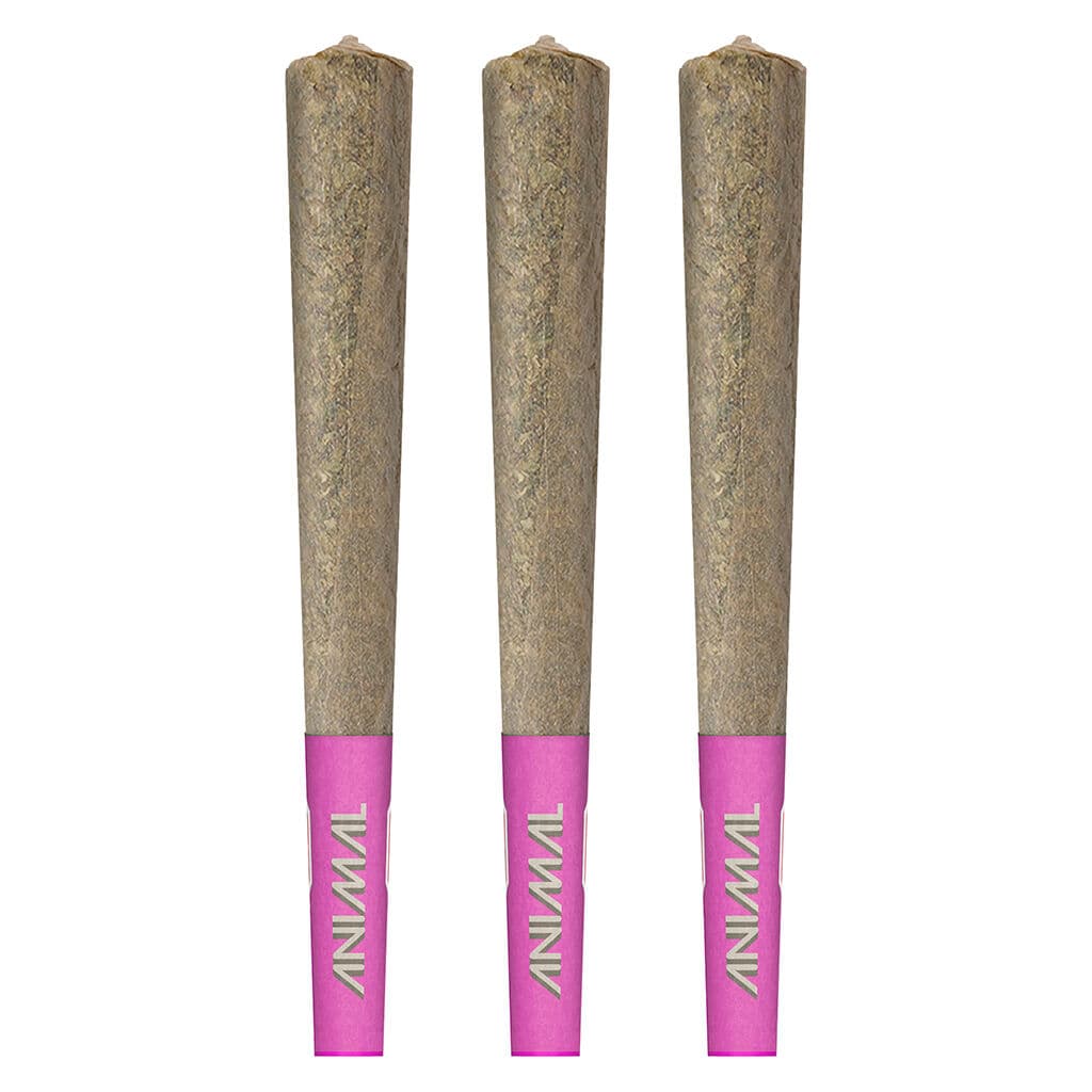 Animal - High Potency Infused Pre-Roll 50+ - 3x0.5g