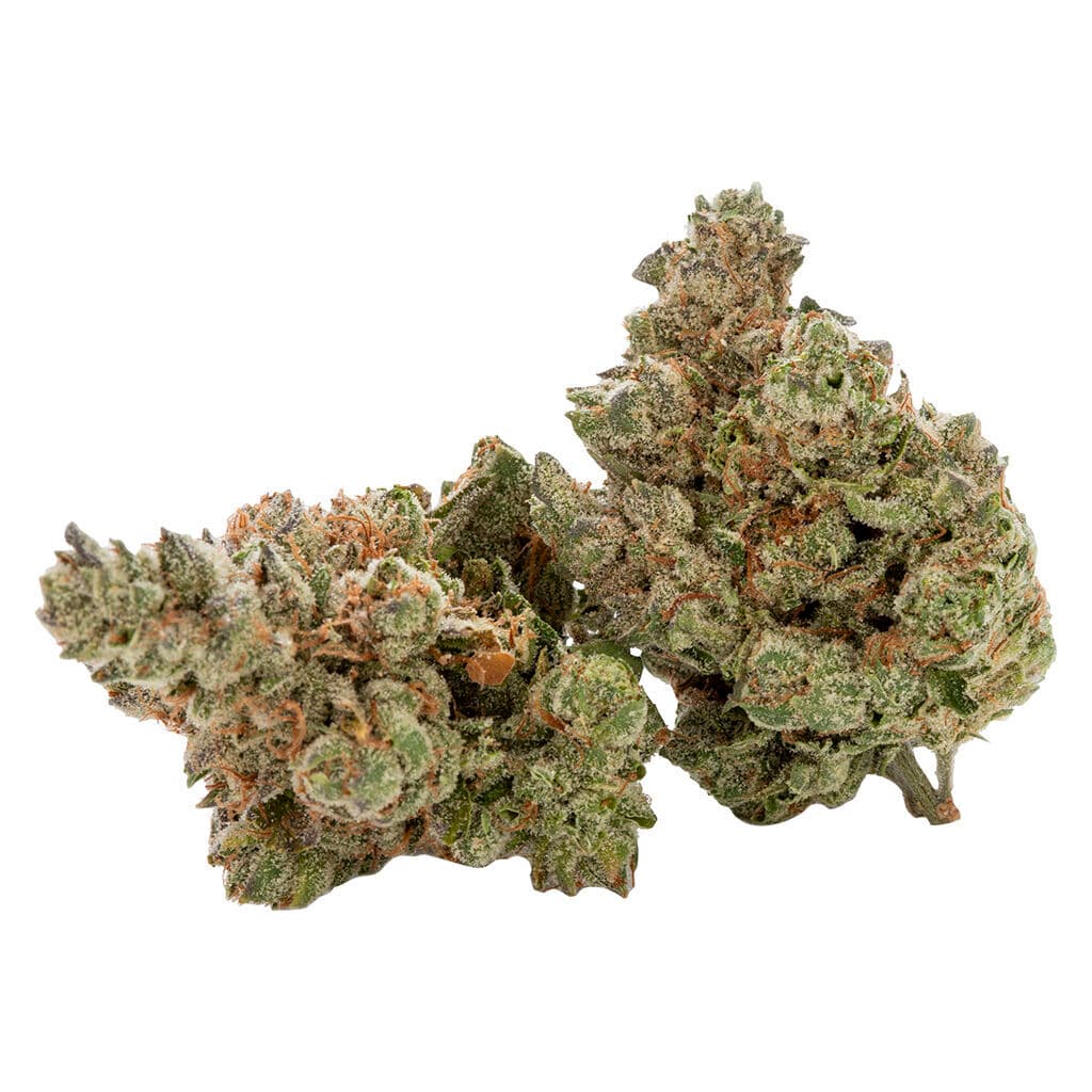 Cactus - Black Triangle (Triangle Kush x 88 G13 Hashplant) - 3.5g
