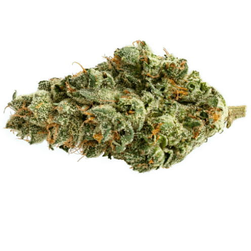 Pure Sunfarms - Bubble Mints (Wedding Cake x Wedding Crasher) - 3.5g