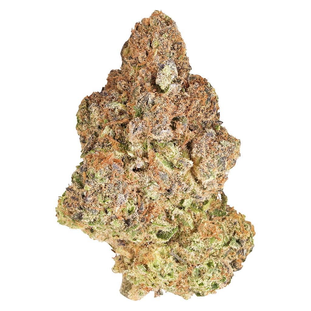 1964 - M`mosa (Purple Punch x Clementine)  - 7g