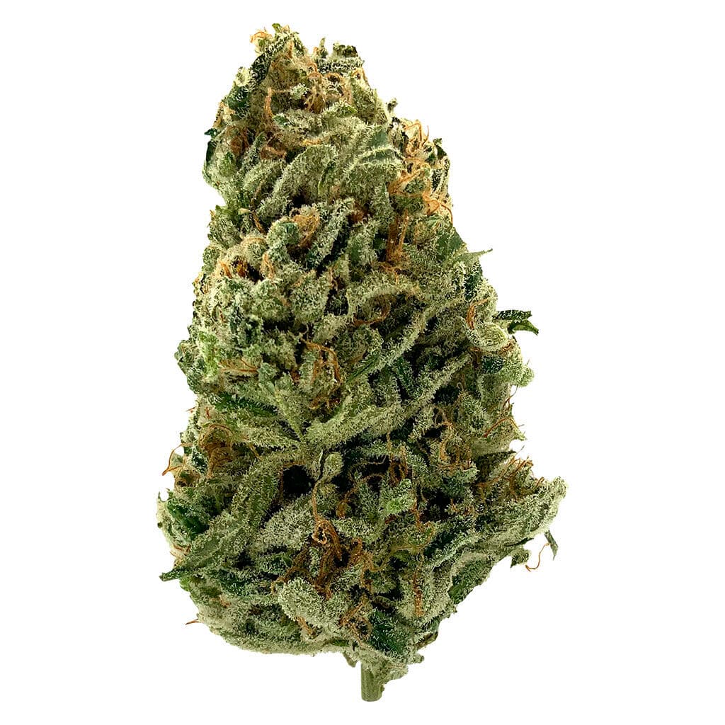 Lowkey - Haze (Amnesia Haze) - 3.5g