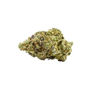 Carmel - Sorbetto (Zkittlez X Sunset Sherbert X Magnum Opus)