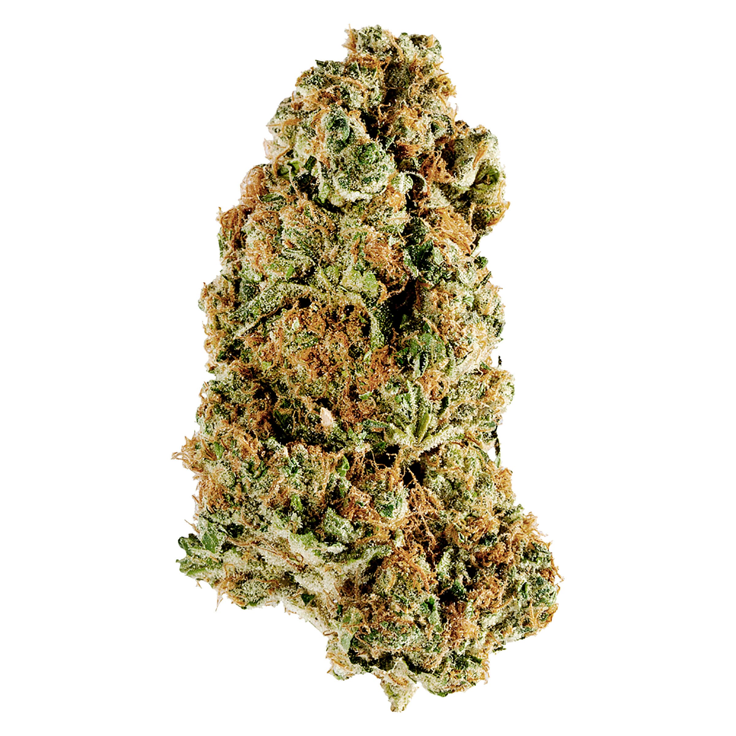 Redecan - Animal Rntz (Animal Mints x Runtz) - 14g
