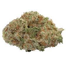 Wagners - Cherry Jam (Purple Punch x AK47) - 14g