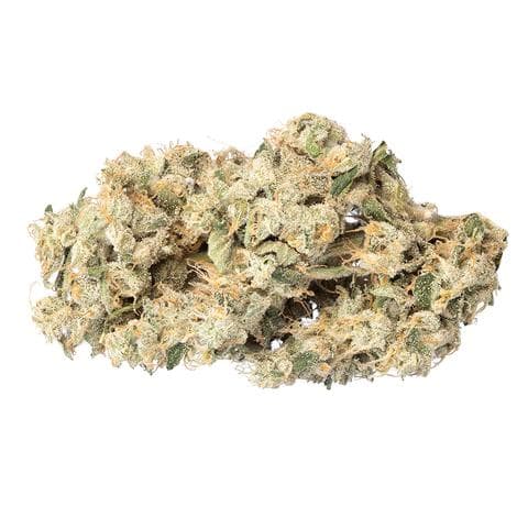 Qwest - Papaya Cake (Papaya x Wedding Cake) - 3.5g