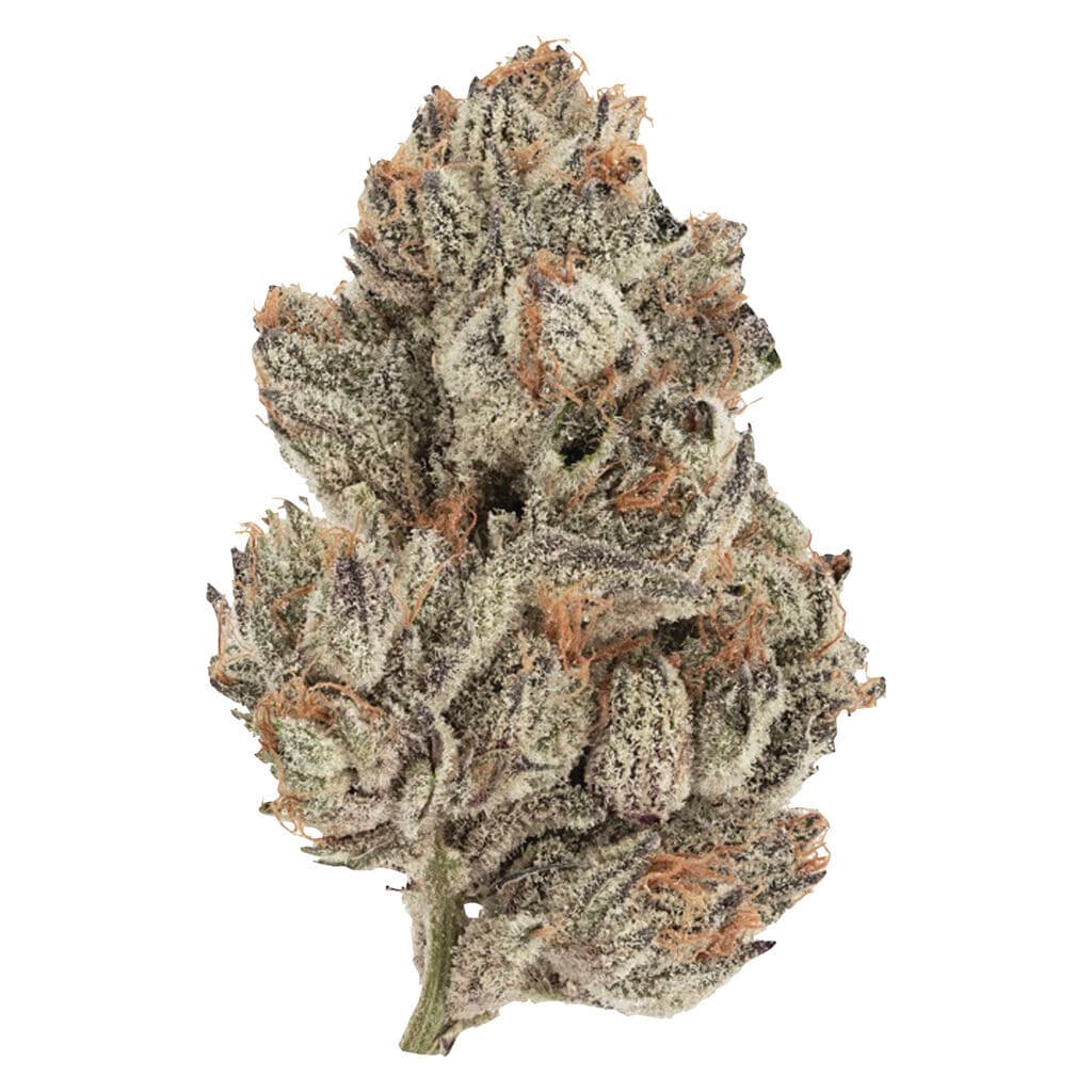 Station House - Trainwreck (Mexican Landrace x Thai x Afghan) - 3.5g