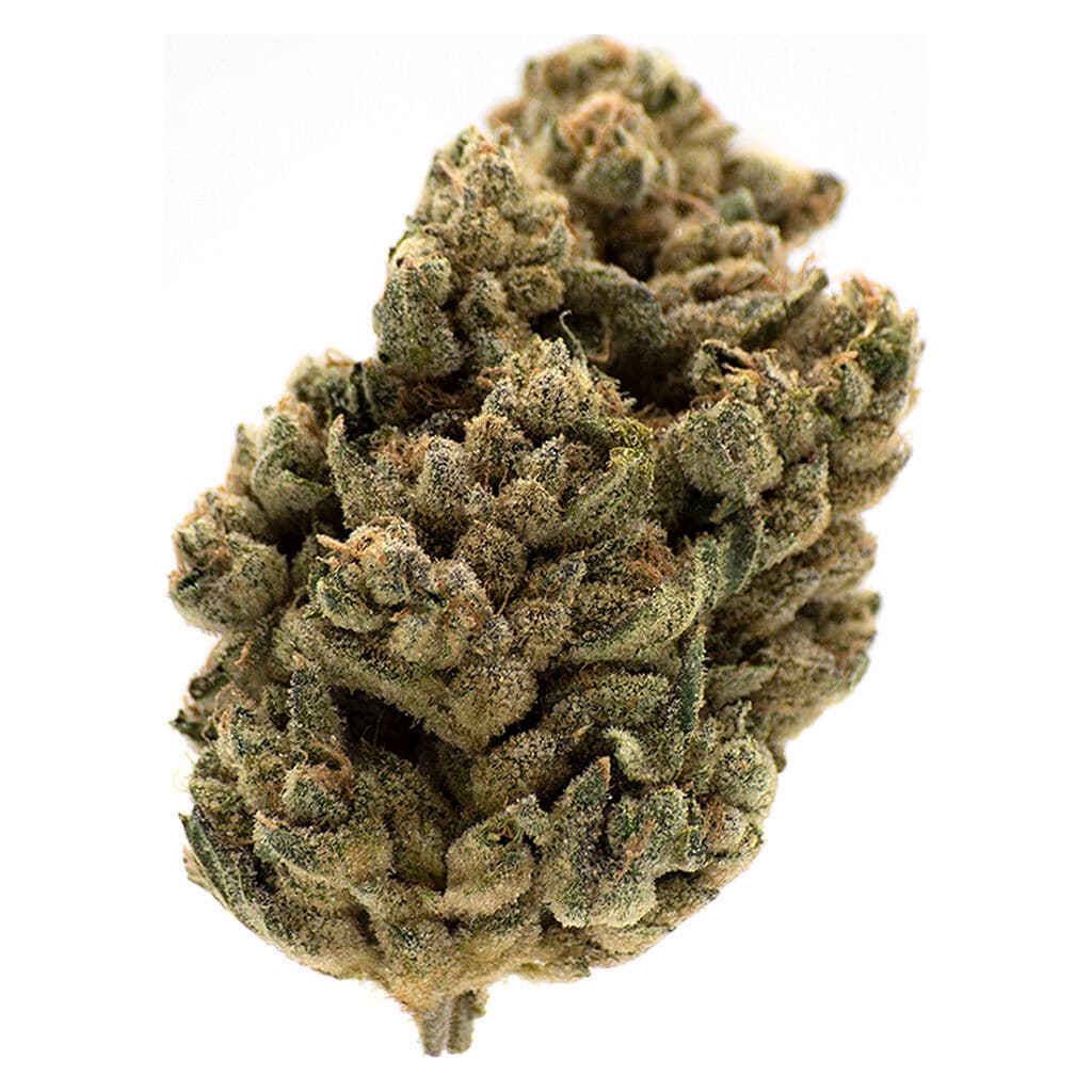 MTL - Jungl- Cake (White Fire x Wedding Cake) - 3.5g